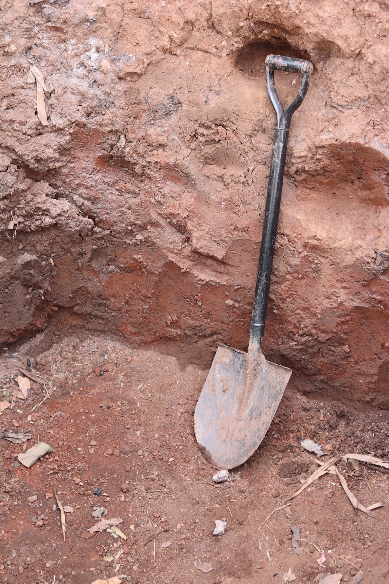 Real Money Is in Selling Shovels: Lessons for SaaS from the Gold Rush