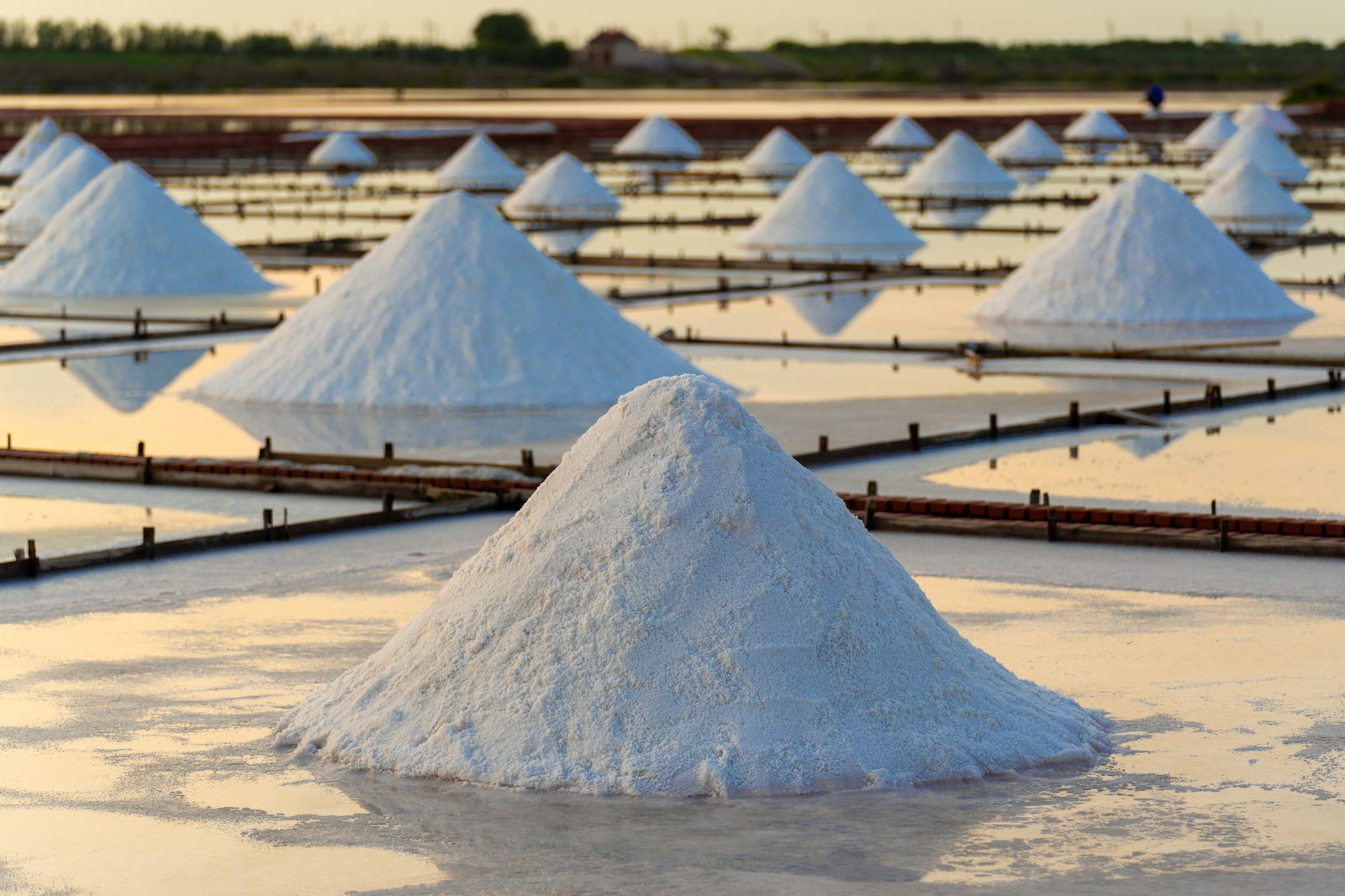 The Value Chain of Salt: From Extraction to Consumer