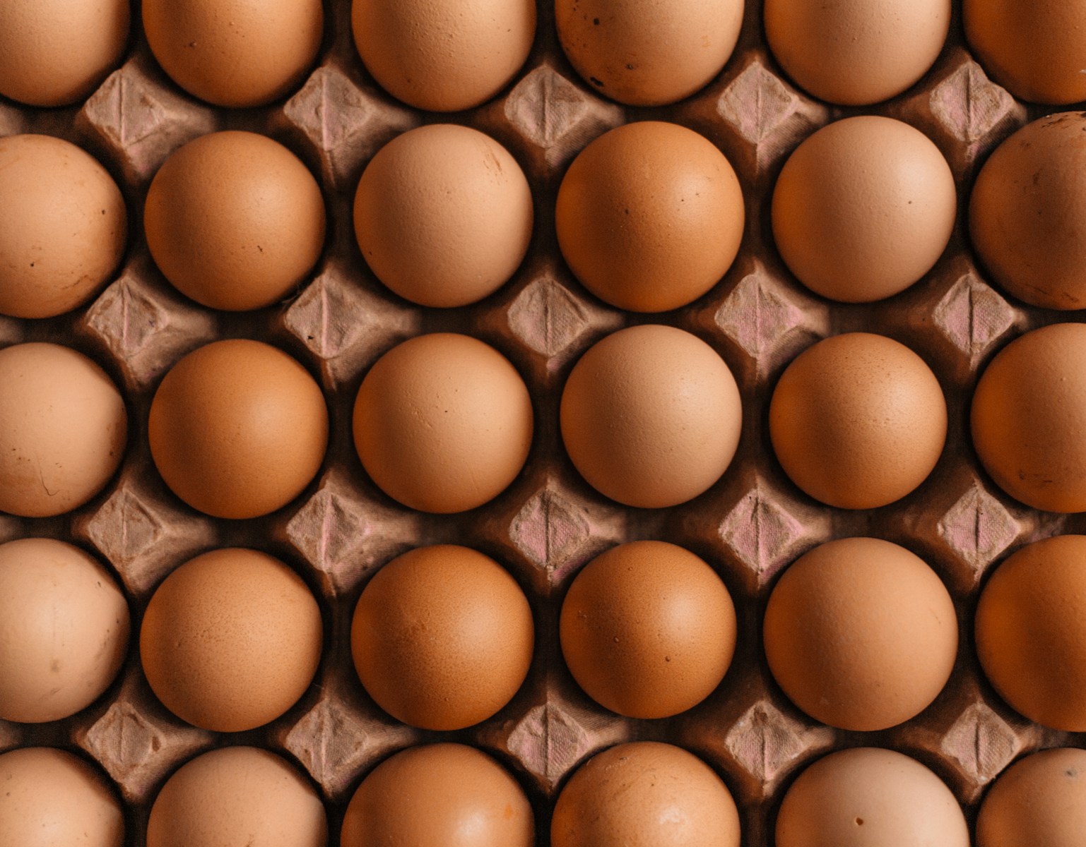 The Value Chain of Eggs: From Farm to Fork