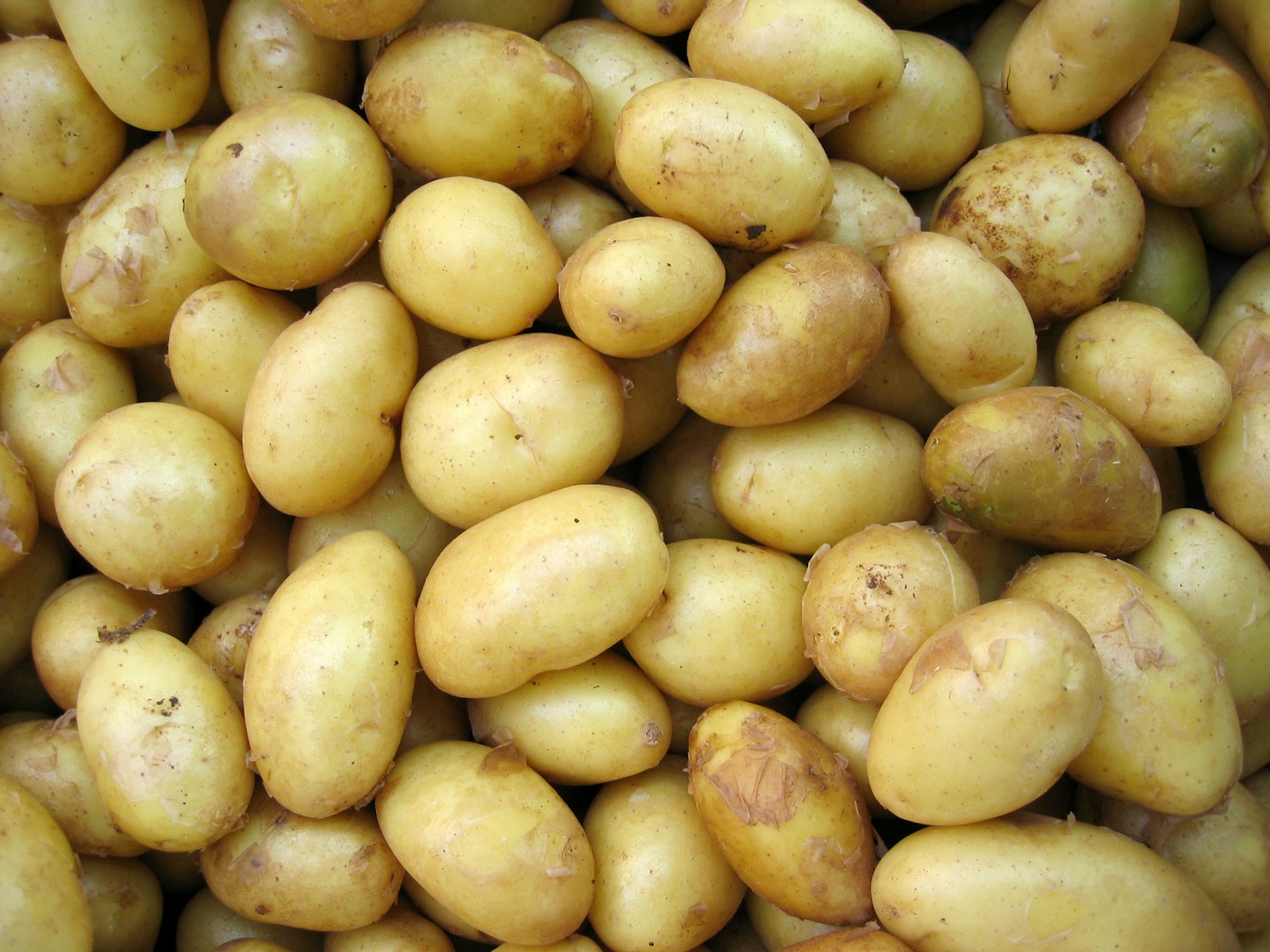 Understanding the Value Chain of Potatoes: From Farm to Table