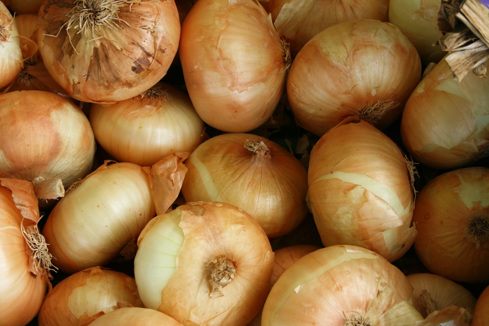 Value Chain of Onions: Understanding the Path from Farm to Plate