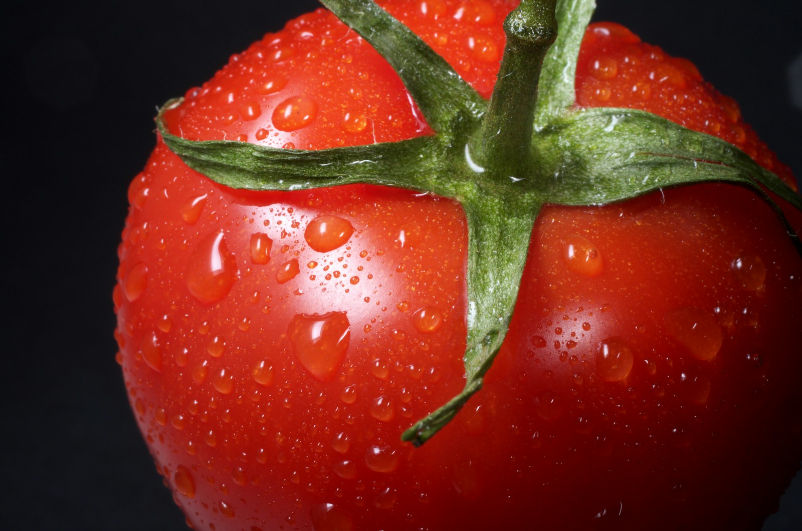 Understanding the Value Chain of Tomatoes